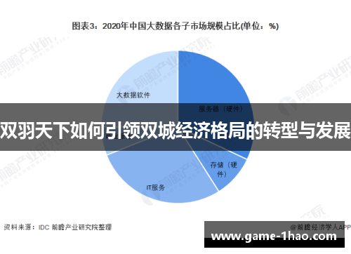双羽天下如何引领双城经济格局的转型与发展
