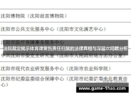 法院裁定揭示体育课受伤责任归属的法律真相与深层次问题分析