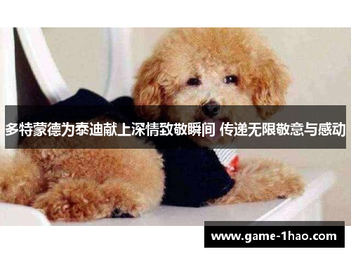多特蒙德为泰迪献上深情致敬瞬间 传递无限敬意与感动