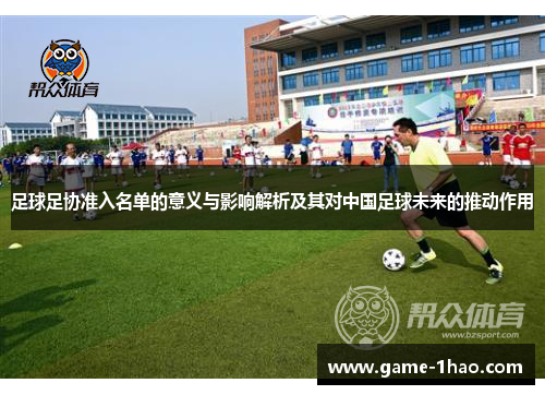 足球足协准入名单的意义与影响解析及其对中国足球未来的推动作用